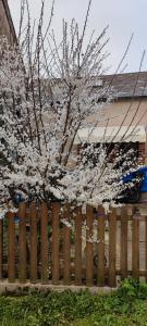 chambre chez lhabitant ,bleue, maison ancienne