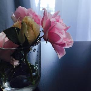 Deep Blue Guest House