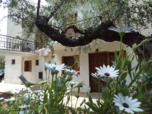 Oasis Apartments Messinia Greece