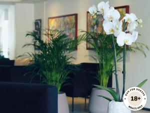 Ærø Hotel - Adults only