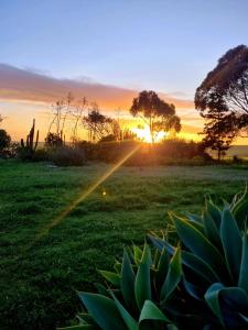 Die Blouhuis Farmhouse Retreat with a hot tub