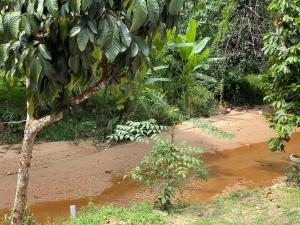 SRI MALAU