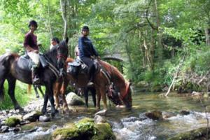 Villas Charming cottage, 10 minutes from Ax les Thermes : photos des chambres