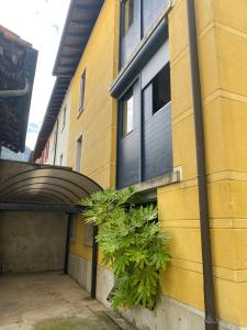 Yellow House Guest House