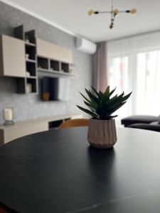 Oradea Prima Downtown Residence