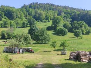 Les studios du frankenthal