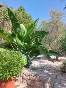 Villa Azzurra - casa vacanze