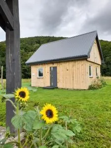 Pod Górką - Radochów