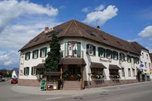 Hotel Hanauerhof - Renchen