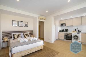 Palm Tree Dream Lodging