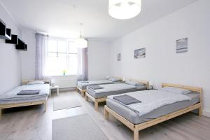 Apartament Piwna 13