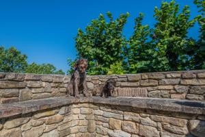 Ca Gulino - Urbino - Villa con Minipiscina in Borgo Antico