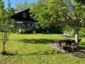 Ferienhaus Sternenhimmel - Hilscheid