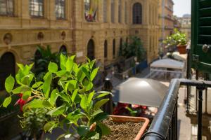 Superior Studio - Split Level