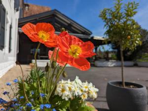 Hotels Logis Auberge du Relais : photos des chambres