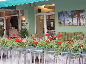 Hotel Palme Park & Beach included