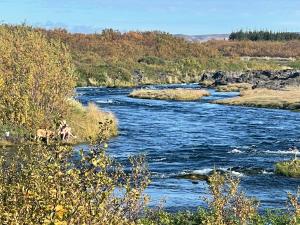Northen Lights Cabin, Riverside, Mountain view