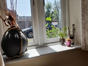 Private rooms in a shared house in Oxford - Host lives in the property