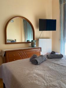 Trikala City Apartment