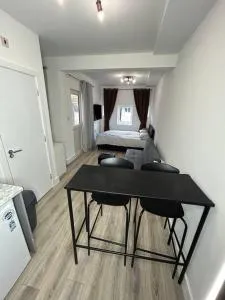 Large studio flat with garden - 泰丁敦