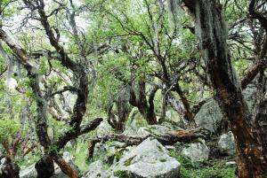 TrinidadTraslasierra-CASATUNA