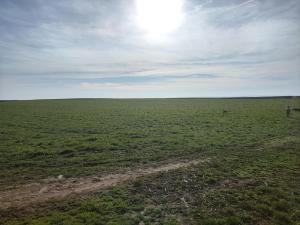 Vikendica Tisa Dukatar