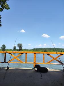 Vikendica Tisa Dukatar