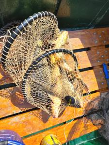 Vikendica Tisa Dukatar