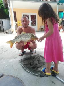 Vikendica Tisa Dukatar