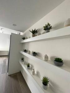 Chimay : la Chambre Verte de la Grand Place