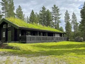 Holiday home Hemsedal III - 马格尼顿