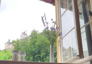 ciao-aschau Haus zur Burg FeWo Bergfest Ap110