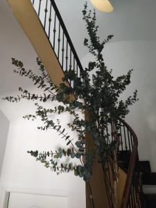 Apartamento Albariño 23