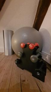 Appartements Duplex Centre - Le Marche : photos des chambres