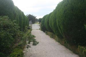 Appartements Les Sapins : photos des chambres