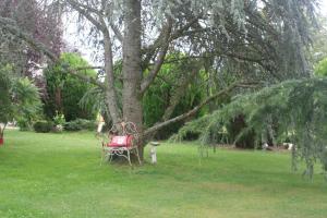 Appartements Les Sapins : photos des chambres