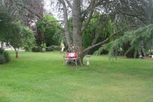 Appartements Les Sapins : photos des chambres