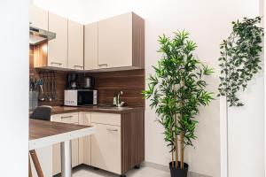 Attractive 1BR and 1 LR Apt Comfortable Design, Great Location