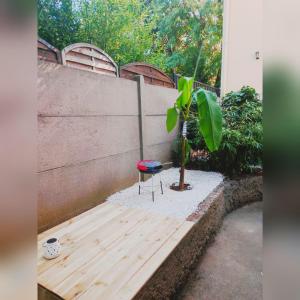 Appartements Au Vert Galant : photos des chambres