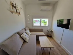 Les flamants roses de la Capte T2 - La Capte