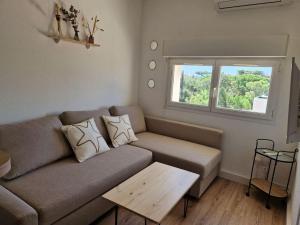 Les flamants roses de la Capte T2