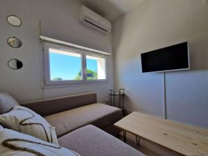 Les flamants roses de la Capte T2