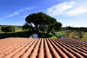 Villa Dream Fonte Santa NL