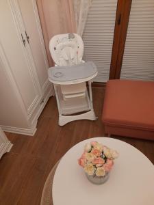 Vrnjačka Promenada - Pešačka zona - Baby friendly