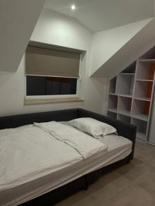 Przestronny Apartament