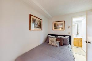 Mountainside Resort B202