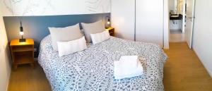 Sierras de Tandil Departamentos