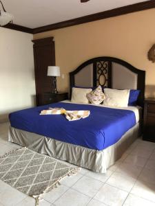Hotel Boutique Villas Segovia Cozumel