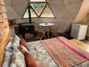 Nomade Patagonia Glamping & Domos - Baggle