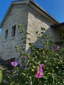 Apartman LENNA - Orahovac